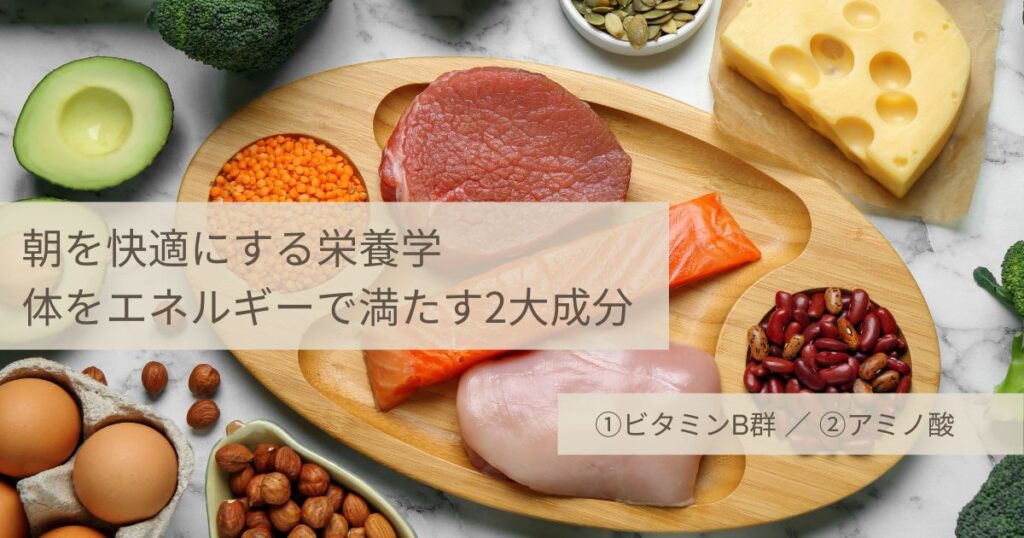 朝を快適にする栄養学 体をエネルギーで満たす2大成分 ①ビタミンB群／②アミノ酸の文字と、肉、魚、卵、チーズ、アボカドなどの豊富な食材
